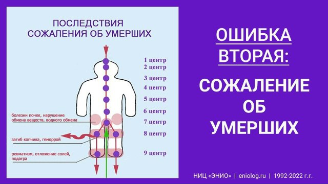 эниология ошибки