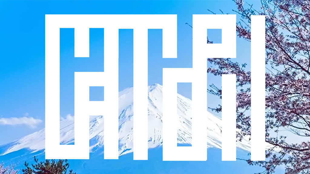 сатори рейки